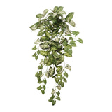 2PC Hanging Nephtytis Bush 36" – Lifelike Silk Leaves, Flexible Stems
