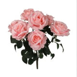Rose Bush w/ 7 Silk Blooms 20