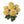 Rose Bushes with 7 Silk Blooms - 20" - 
    Yellow