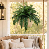 Boston Fern Plant with 49 Silk Fronds 34" Wide