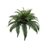 Boston Fern Plant with 49 Silk Fronds 34