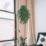 Artificial English Ivy Bush with 530 Silk Leaves - 33"