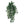 Artificial Hanging Green White Ivy Plant- 38", Floral Home by Artificial Flowers - 
    Green