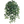 Faux Mini English Ivy Bushes with 450 Silk Leaves - 26" - 
    Green