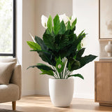 Faux Spathiphyllum Plant - 35"