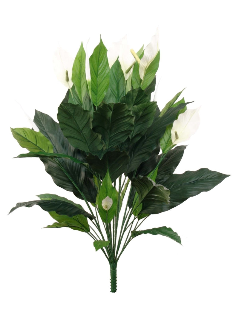 Stunning 35" Spathiphyllum Plant: 44 Leaves, 8 Flowers, 2 Buds - 6 Piece Green Set for Vibrant Home Decor