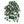 Faux Variegated English Ivy Bush with 117 Leaves - 23" - 
    Green