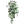 Variegated Silk English Ivy Bushes with 157 Leaves - 33" - 
    Green