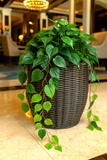 Philodendron Bush W/ 154 Silk Leaves - 33" Long - 2 PACK