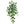 Fake Pothos Leaf Bush with 157 Leaves - 33" - 
    Green