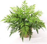 2PC All Weather Boston Fern Plant With 7 Silk Fronds - 28" Wide