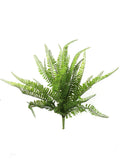 Deluxe 22" Boston Fern Set, 6 Pieces - Lush Green Indoor/Outdoor Decorative Plant, Perfect for Home and Garden Beautification