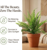 Green Artificial Boston Fern - 22"