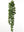 Faux Hanging Senecio Succulents - 13" - 
    Green