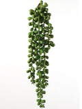 Lush 13" Hanging Senecio Succulents, Bulk Pack of 24 - Ideal for Eye-Catching Home Decor, Outdoor Gardens, and Creative DIY Terrarium Projects - Low-Maintenance, Floral Home by Artificial Flowers