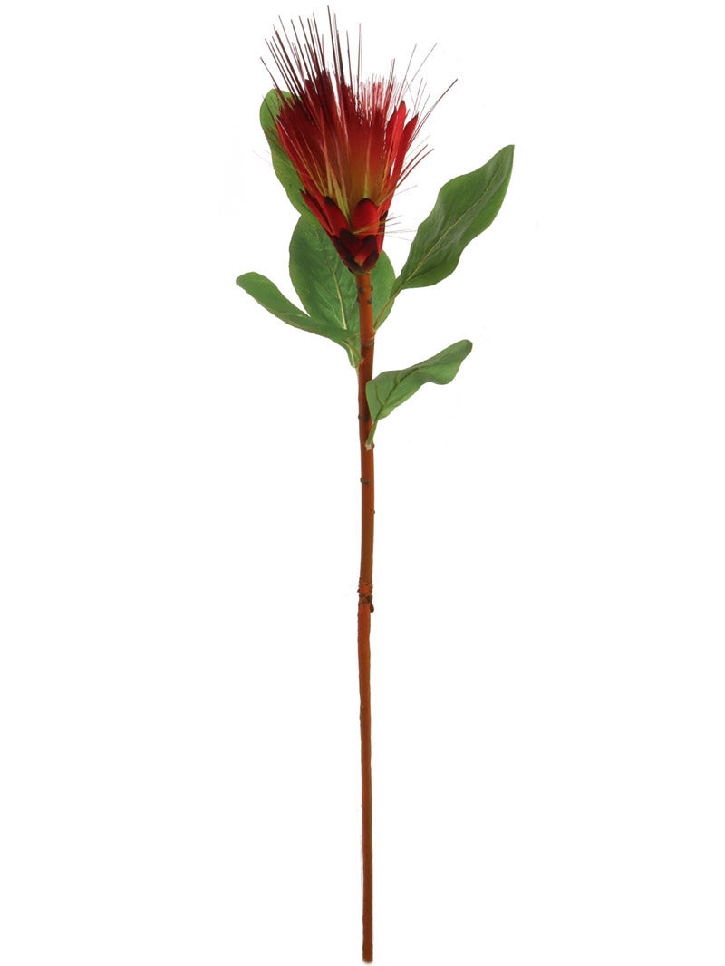 Regal 30" Orange Royal Protea - 12 Piece Set: Majestic Tropical Blooms for Exquisite Home Decor and Elegant Floral Arrangements