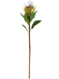 3PC 30"  Light Yellow ROYAL PROTEA SPRAY