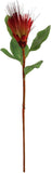 Orange Fake Royal Protea, Set of 12 - 30
