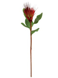 30" Orange ROYAL PROTEA SPRAY