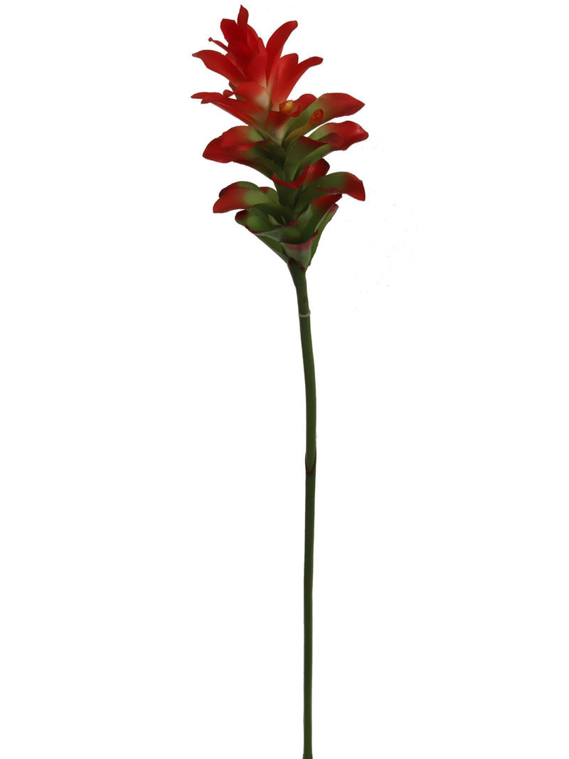 Vibrant 31" Red Ginger - 12 Piece Set: Exotic Tropical Blooms for Striking Home Decor and Captivating Floral Arrangements