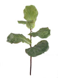 Faux Banjo Fig Sprays - 36"