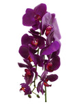 Exotic Elegance: 29" Purple Phalaenopsis Orchid Stem - 12 Piece Bundle - Perfect for Home Decor, Weddings & Unique Events