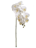 Timeless Elegance: 29" White Phalaenopsis Orchid Stem - 12 Piece Bundle - Perfect for Home Decor, Weddings & Special Occasions
