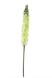 Silk Foxtail Flower - 47"