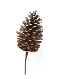 8-Inch Plastic Pine Cone Pick - Set of 6 Pieces - Realistic Faux Pinecones for Floral Arrangements, Crafts, and Holiday Decor, Floral Home by Artificial Flowers