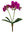 Artificial Phalaenopsis Orchid Spray - 16" - 
    Fuscia