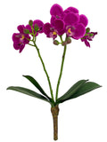 Artificial Phalaenopsis Orchid Spray - 16"