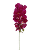 12-Piece Bundle of 31" White Phalaenopsis Orchid Stems - Ideal for Luxurious Home Decor, Wedding Arrangements & Celebratory Events