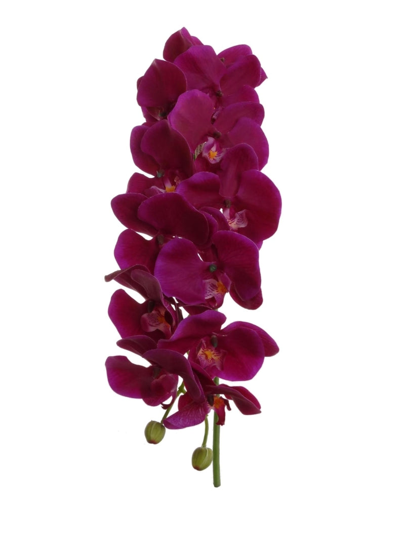 6-Piece Bundle of 41" Majestic Purple Phalaenopsis Orchid Stems - Perfect for Lavish Home Decor, Weddings, & Unique Celebrations