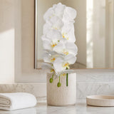 White Artificial Phalaenopsis Orchid Stems, Bundle of 6 - 41"