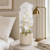 White Artificial Phalaenopsis Orchid Stems, Bundle of 6 - 41"