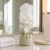 White Artificial Phalaenopsis Orchid Stems, Bundle of 6 - 41"