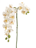 Elegant 22" Dancing Orchid Stem - Set of 12 | Graceful White Blooms for Exquisite Floral Displays, Weddings, and Interior Decor