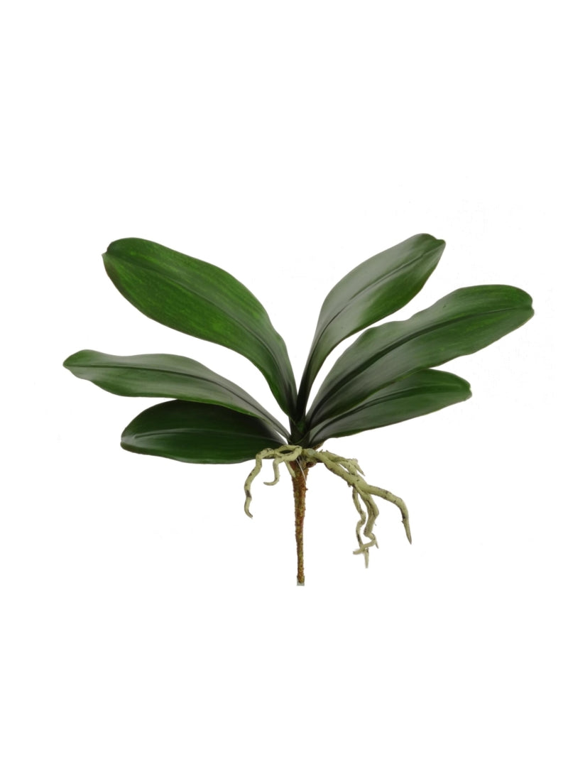 Lifelike 17-Inch Elegant Artificial Phalaenopsis Leaf Cluster - Perfect for Stunning Home Decor & Floral Arrangements - Realistic Foliage with Exquisite Detailing"