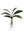 Faux Phalaenopsis Leaf Cluster with 6 Leaves - 21" - 
    Green