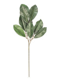 Set of 24 Premium 34" Magnolia Leaf Sprays - Luxurious Faux Greenery Decor for Home and Event Styling