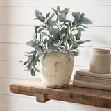 Fake Lamb's Ear Spray - 29"