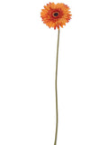 Invigorating 25" Orange Gerbera Daisy Collection - Set of 24 - Vibrant Blooms for Festivals, Celebrations, and Energizing Home Decor