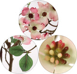 Dogwood Branch with Silk Flowers and Green Leaves - 50"