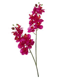 Elegant 22" Phalaenopsis with Double Blooms - Set of 12 | Stunning Floral Accent with 16 Vibrant Fuchsia Flowers for Home Décor, Events, and Special Occasions