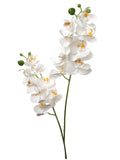 Exquisite 22" Phalaenopsis with Double Blooms - Set of 12 | Elegant Floral Centerpiece with 16 White Flowers for Home Décor, Weddings, and Special Events