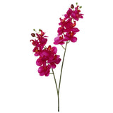 Artificial Fuchsia 22" Phalaenopsis Orchid - 2 Fronds with 16 Flowers, Lifelike Home Decor, Indoor Plant, Easy Care, Low Maintenance, Top-Quality, Floral Home by Artificial Flowers