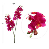 Artificial Fuchsia 22" Phalaenopsis Orchid - 2 Fronds with 16 Flowers, Lifelike Home Decor, Indoor Plant, Easy Care, Low Maintenance, Top-Quality, Floral Home by Artificial Flowers