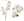 Phalaenopsis Orchid Spray x2 with 16 Silk Flowers - 22" - 
    White
