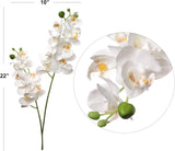 Phalaenopsis Orchid Spray x2 with 16 Silk Flowers, Set of 3 - 22"