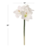 Amaryllis Artificial Flower 28" White- Lifelike Faux Silk Plant, Home Décor Accent, Wedding & Event Centerpiece, Easy-to-Clean, Top Quality & Realistic Design